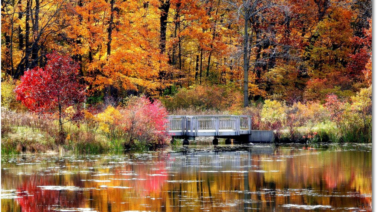 Lake County